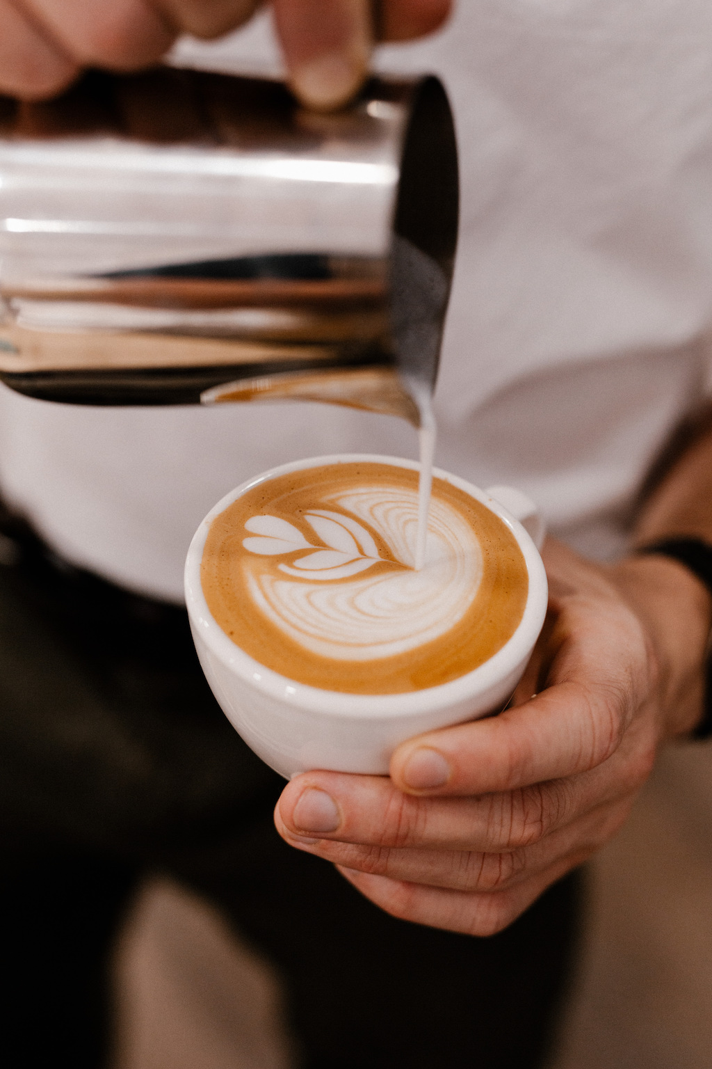 Caracolillo Coffee Inicio